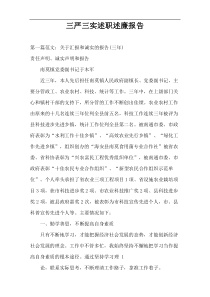 三严三实述职述廉报告