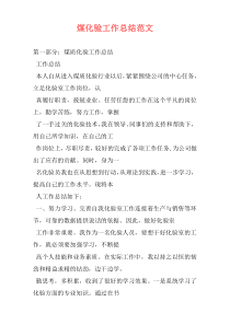 煤化验工作总结范文