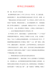 村书记工作总结范文