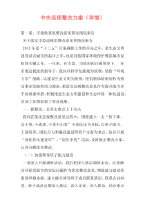 中央巡视整改方案（详情）