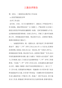三基自评报告