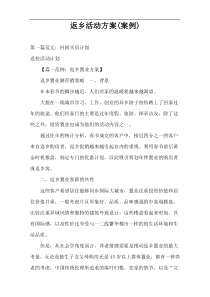 返乡活动方案(案例)