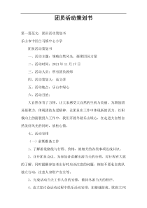 团员活动策划书