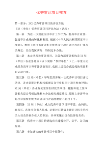 优秀审计项目推荐