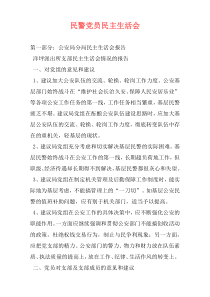 民警党员民主生活会