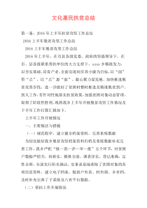 文化惠民扶贫总结