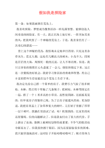 假如我是探险家