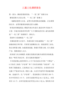 三基三化调研报告