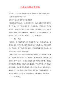 公务接待费自查报告