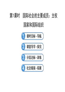 481国际社会的主要成员主权国家和国际组织