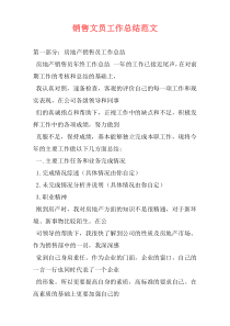 销售文员工作总结范文