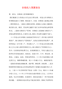 非税收入预算报告