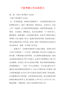 干部考察工作总结范文