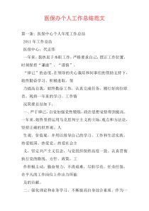 医保办个人工作总结范文