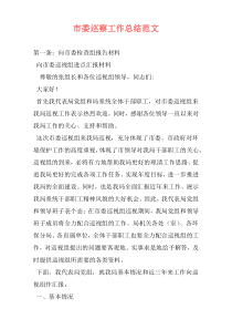 市委巡察工作总结范文