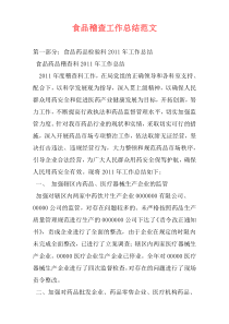食品稽查工作总结范文