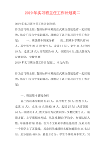 2019年实习班主任工作计划高二