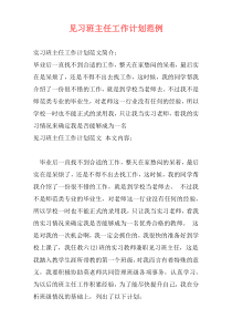 见习班主任工作计划范例