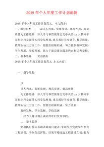 2019年个人年度工作计划范例