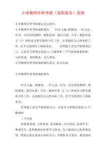 小学教师年终考核（述职报告）范例