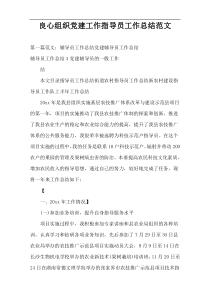 良心组织党建工作指导员工作总结范文