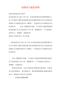 法院实习鉴定范例