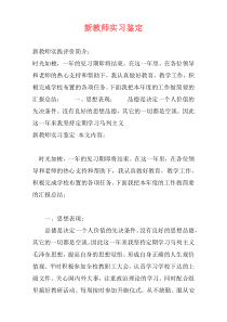 新教师实习鉴定