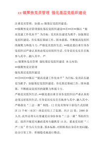 xx镇聚焦党员管理 强化基层党组织建设