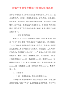 县镇小美容美发整规工作情况汇报范例