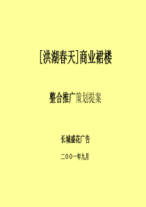 房地产策划案例[洪湖春天]商业裙楼