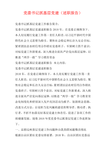 党委书记抓基层党建（述职报告）