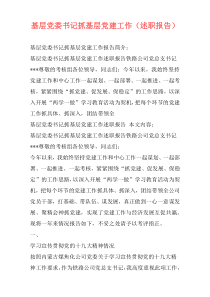 基层党委书记抓基层党建工作（述职报告）
