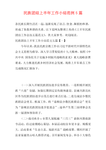 民族团结上半年工作小结范例5篇