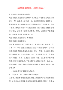 规划部副经理（述职报告）