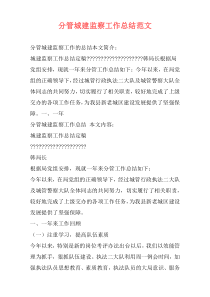 分管城建监察工作总结范文