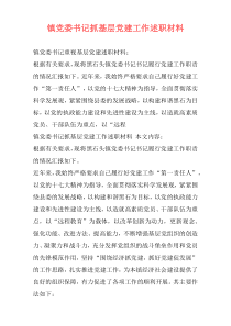 镇党委书记抓基层党建工作述职材料