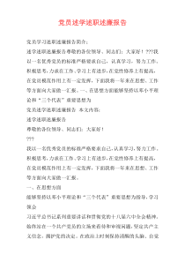 党员述学述职述廉报告