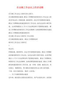 在全镇工作会议上的讲话稿