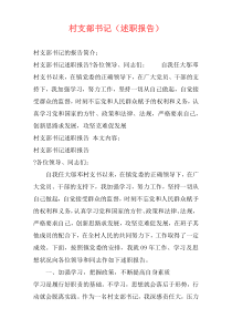 村支部书记（述职报告）