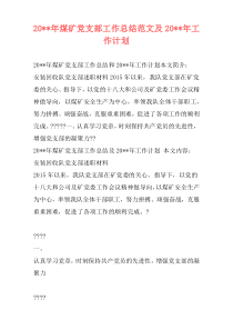 20--年煤矿党支部工作总结范文及20--年工作计划