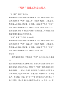 “两新”党建工作总结范文