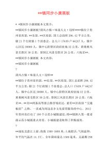 --镇同步小康展板