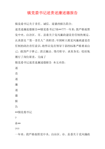镇党委书记述责述廉述德报告