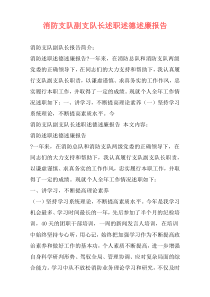 消防支队副支队长述职述德述廉报告