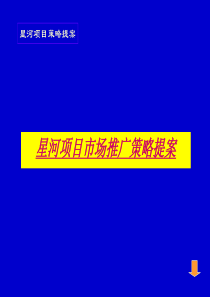 房地产策划案例星河项目策略