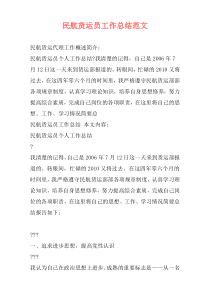 民航货运员工作总结范文