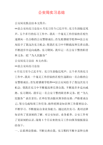 公安局实习总结