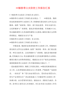 --镇春季火灾防控工作报告汇报