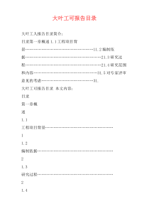 大叶工可报告目录