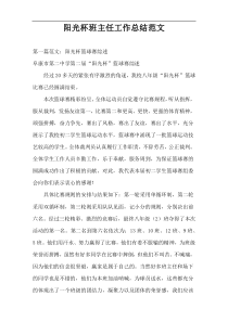 阳光杯班主任工作总结范文